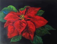 300-becki-poinsettia.jpg