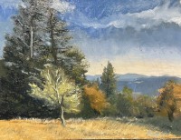Oak Savannah by Avery Edel