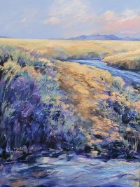 Fishing the Arkansas River by Barb Meyer