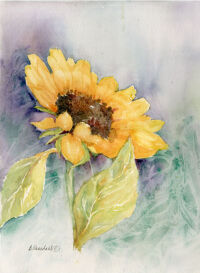 September Sunflower by Becki Hesedahl
