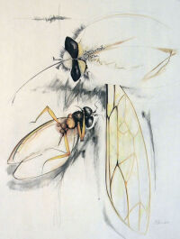 Bug 2 by Carol Chapel