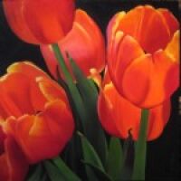 Judy Phipps