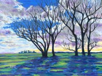Oak Trees at Sunset by Heather Taylor