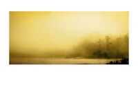 "Morning Light on Pond" by Joel Zak