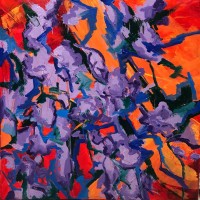 Iris at Sunset by Pam Serra-Wenz