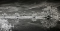 Cirrus Intortus Over Playa Pond by Rich Bergeman