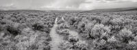 Oregon Trail Wagon Ruts by Rich Bergeman