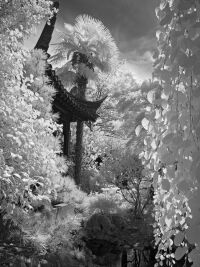 Lan Su Chinese Garden by Rich Bergeman