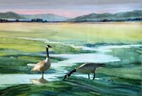 Suver Geese by Richard Bunse