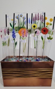 Kathy Kollenburn